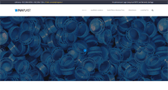 Desktop Screenshot of inaplast.cl